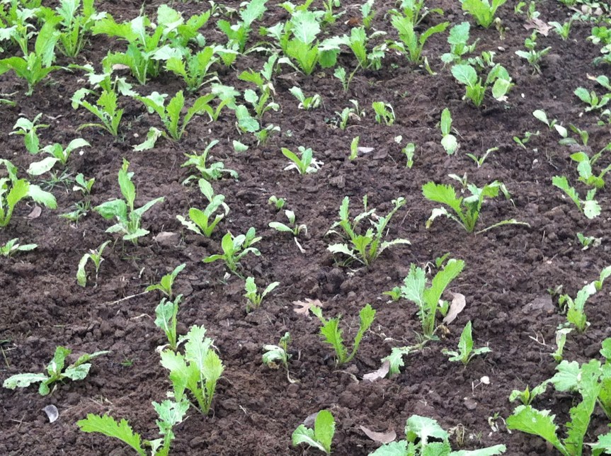 Work Day - 8 12/14/13