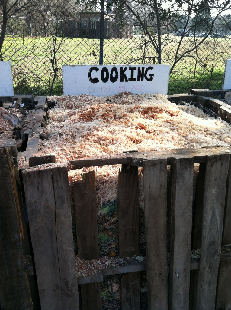 FBCG Workday 4 2/8/14