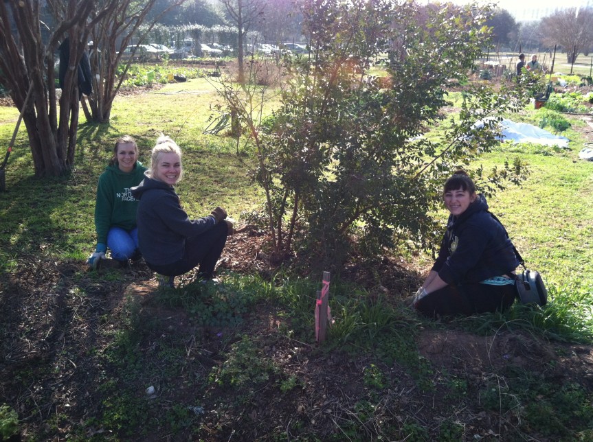 FBCG Workday 3 2/8/14