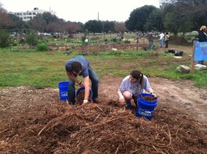 ItsMyPark_FB_030114_11