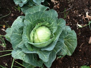 ItsMyPark_FB_030114_18