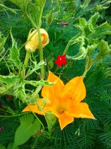 FBCG_WorkDay03_071214