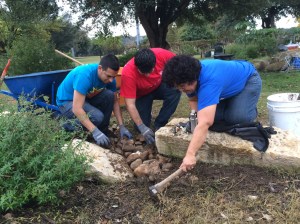 FBCG_OmegaDeltaPhi01_112214