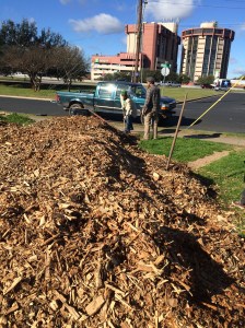 FBCG_Workday010916_07