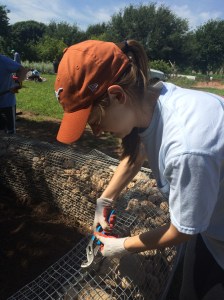 FBCG_UrbanRoots_042316_06