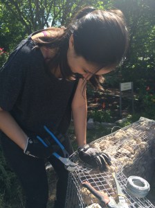 FBCG_UrbanRoots_042316_07