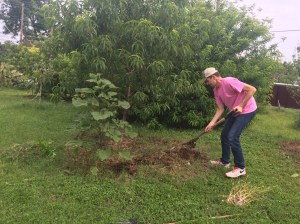 FBCG_WorkDay_051416_03