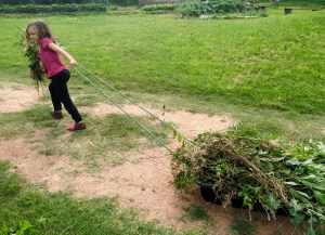 FBCG_WorkDay_051416_05