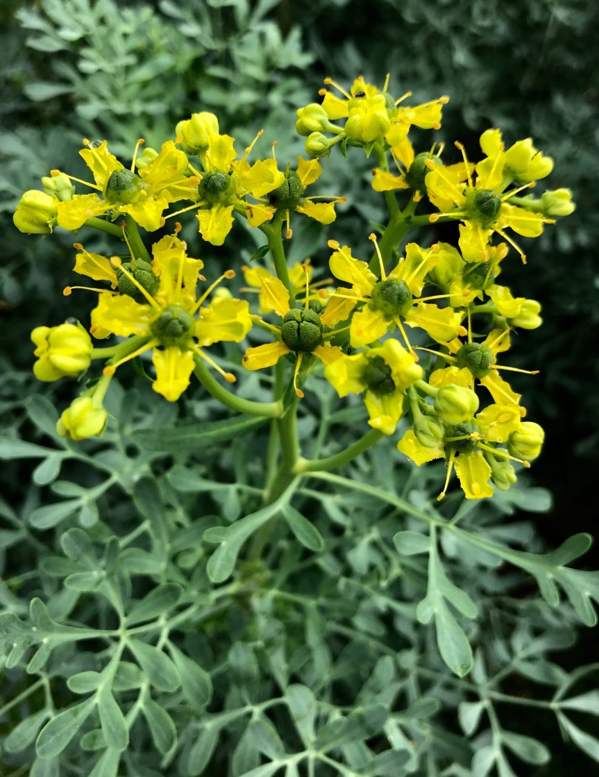 November Community Workday Was a&nbsp;Success!